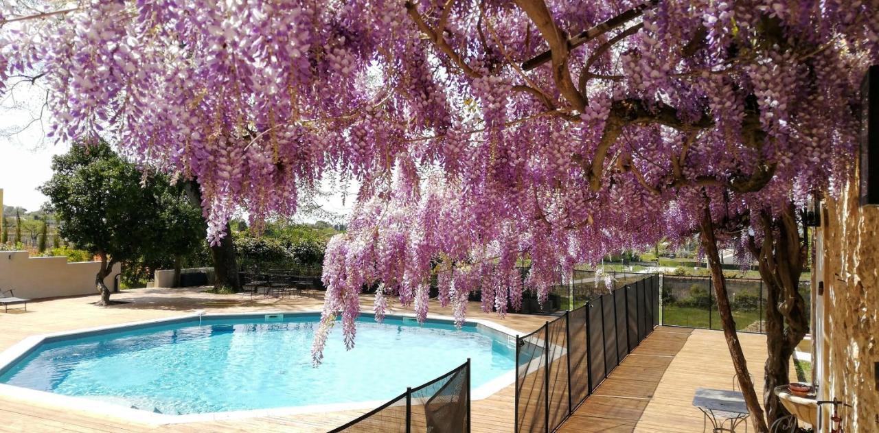 Chateau Montplaisir Charming B&B In Provence Valréas Zewnętrze zdjęcie