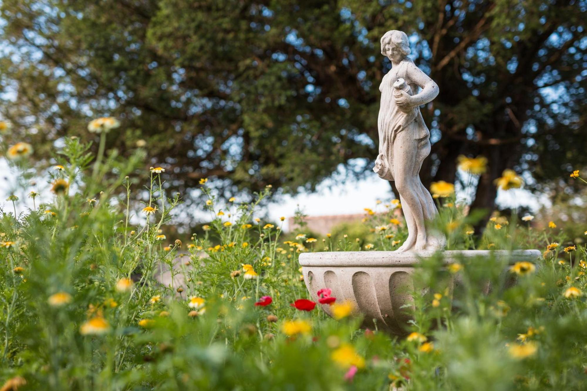 Chateau Montplaisir Charming B&B In Provence Valréas Zewnętrze zdjęcie