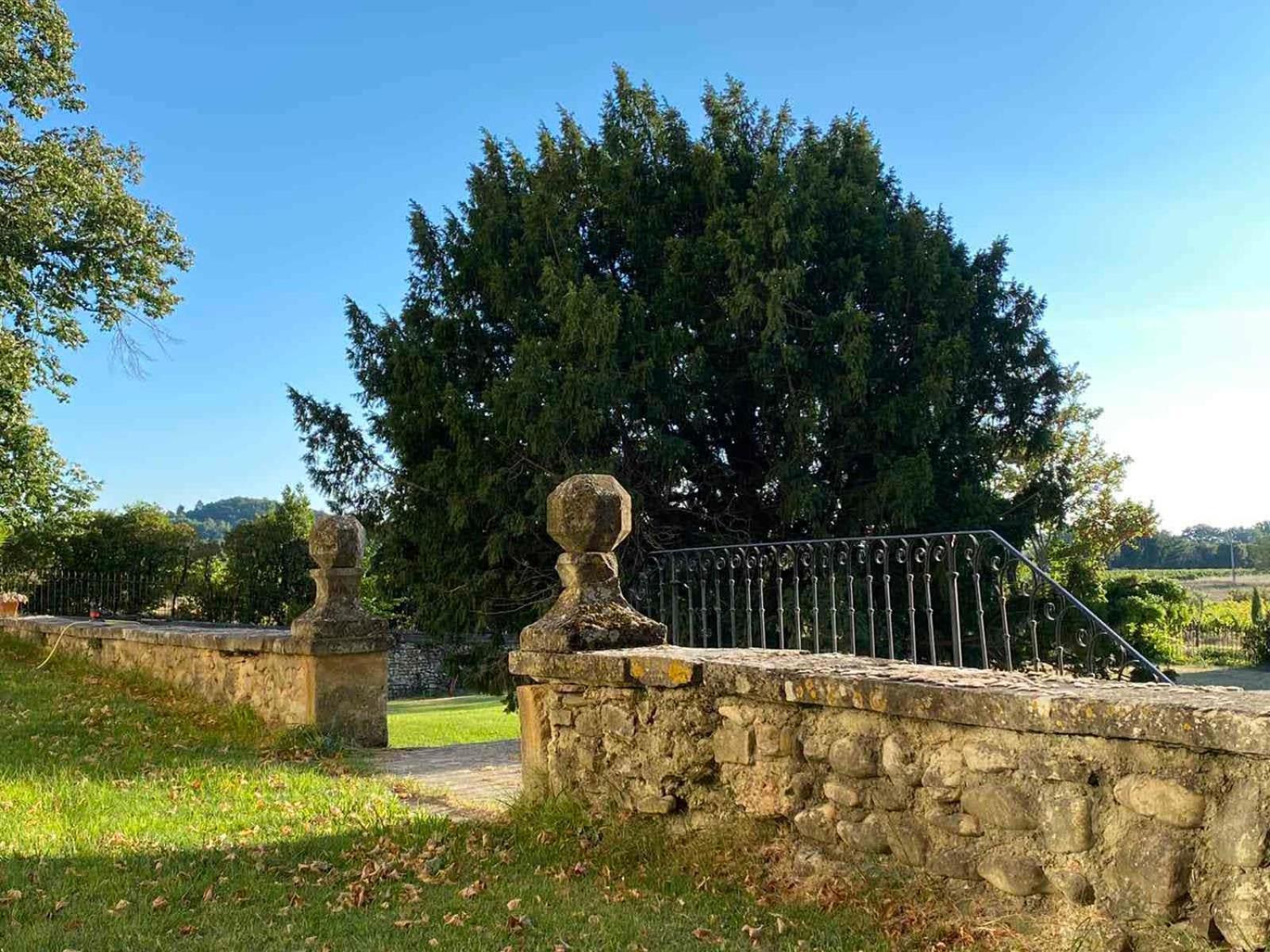 Chateau Montplaisir Charming B&B In Provence Valréas Zewnętrze zdjęcie